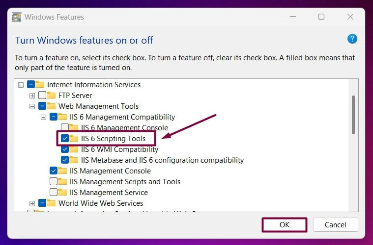 Enable IIS 6 Scripting Tools