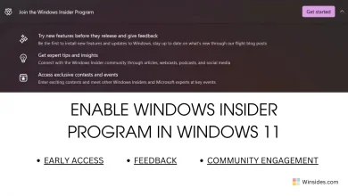 Enable Windows Insider Program Windows 11