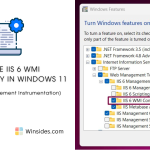 IIS 6 WMI Compatibility in Windows 11