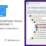 IIS Scripting Tool in Windows 11