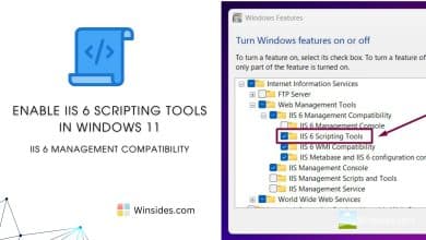 IIS Scripting Tool in Windows 11