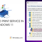 LPD Print Service in Windows 11