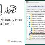 LPR Port Monitor in Windows 11