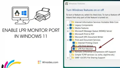 LPR Port Monitor in Windows 11