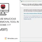 Malicious Software Removal Tool in Windows 11