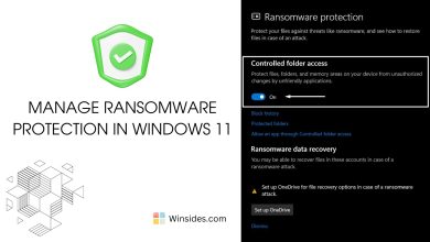 Manage Ransomware Protection in Windows 11