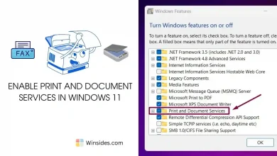 Print and Document Services Windows 11