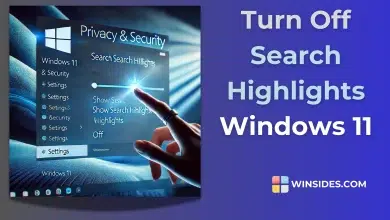 Turn Off Search Highlights Windows 11