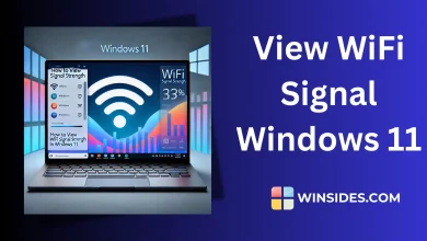 View WiFi Signal Windows 11