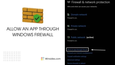 Allow an App through Windows Firewall 1