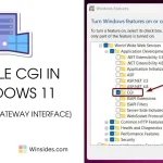 Enable CGI in Windows 11 1