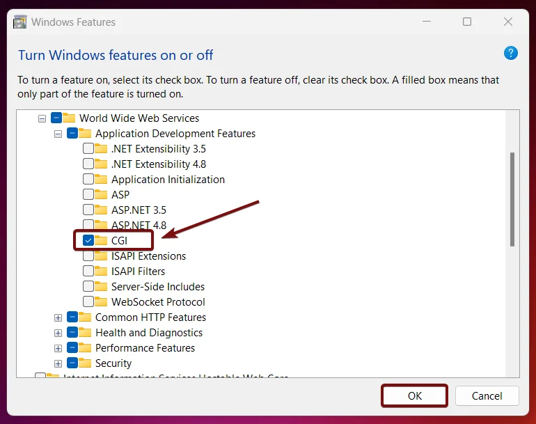 Enable CGI in Windows 11