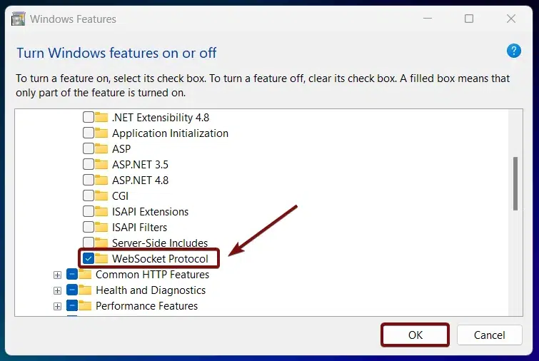 Enable WebSocket Protocol in Windows 11