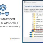 Enable Websocket Protocol in Windows 11