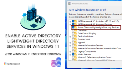 Active Directory and Lightweight Directory Services in Windows 11