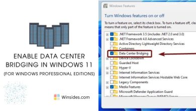 Data Center Bridging in Windows 11