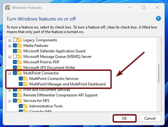 Enable MultiPoint Connect Services in Windows 11