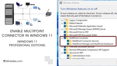 MultiPoint Connector in Windows 11