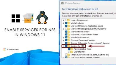 NFS SERVICES IN WINDOWS 11