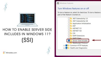 Server Side Includes in Windows 11