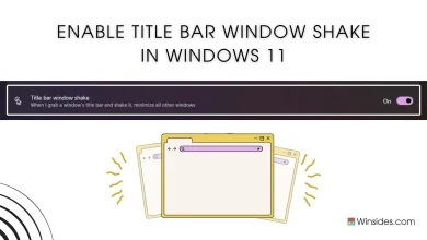 Title Bar Windows Shake