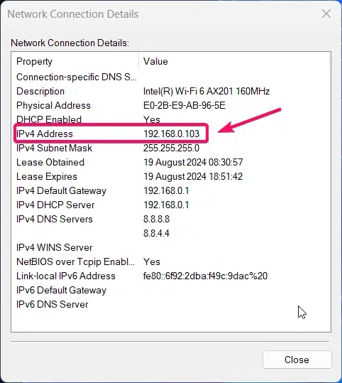 IP Address of Connected Device 