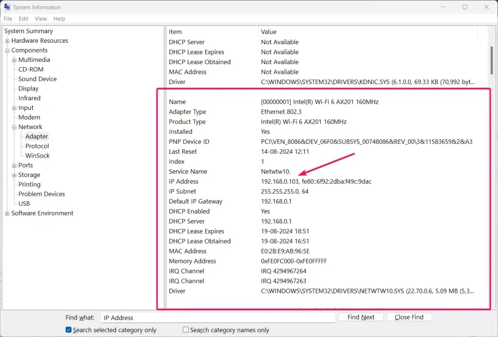 IP Address listed in the System Information Tool.