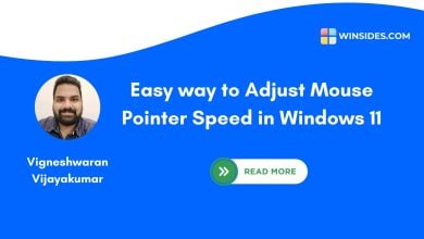 Adjust Mouse Pointer Speed in Windows 11