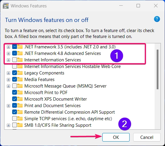 Enabling .Net Framework 4.8 using Windows Features