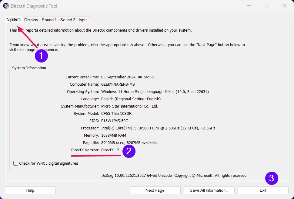 DirectX Diagnostic Tool Window