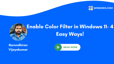 Enable Color Filter in Windows 11- 4 Easy Ways!