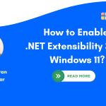 Enable .NET Extensibility 3.5 in Windows 11