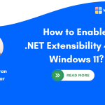 Enable DOT NET Extensibility 4.8 in Windows 11