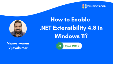 Enable DOT NET Extensibility 4.8 in Windows 11