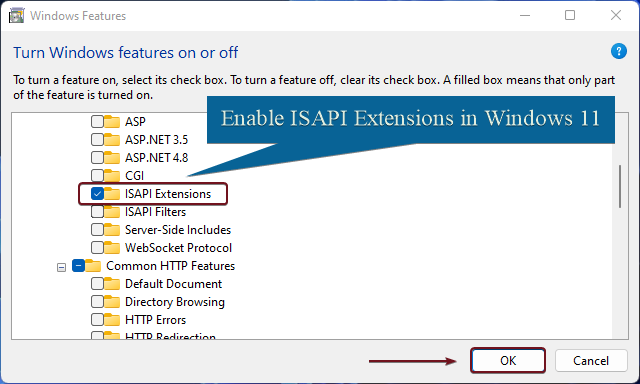 Enable ISAPI Extensions in Windows 11