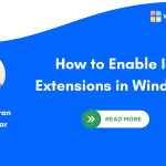 Enable ISAPI Extensions in Windows 11