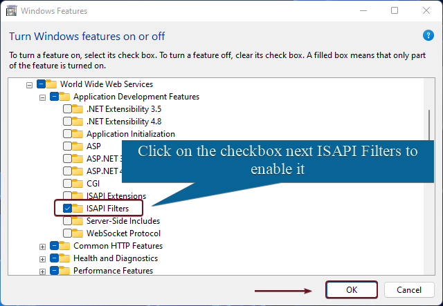 Enable ISAPI Filters in Windows 11