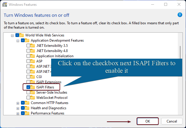 Enable ISAPI Filters in Windows 11 Enable ISAPI Filters in Windows 11