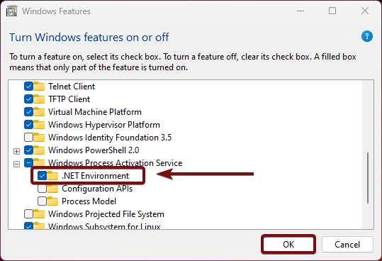 Enable dot net environment for WAS in Windows 11