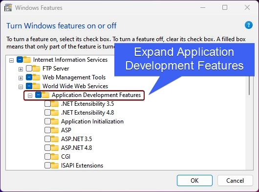 Expand Application Development Features