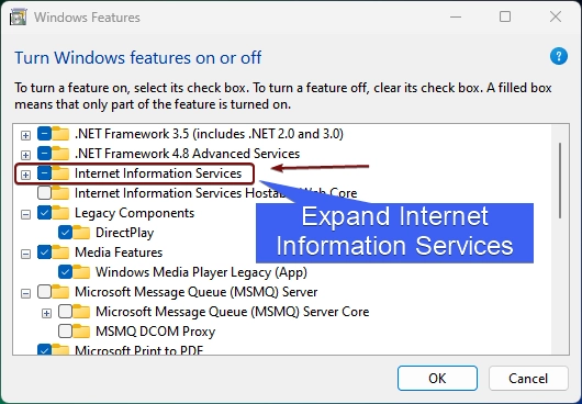 Expand IIS Node