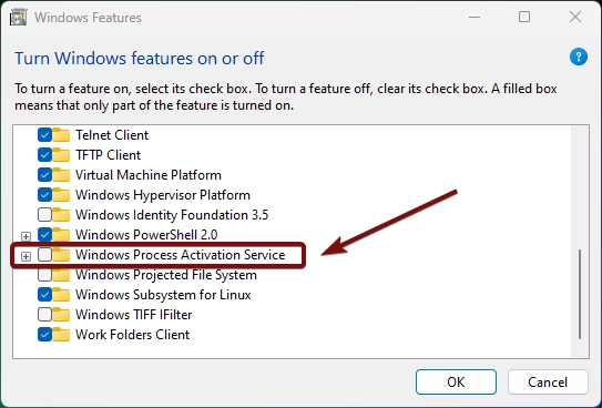 Expand Windows Process Activation Service