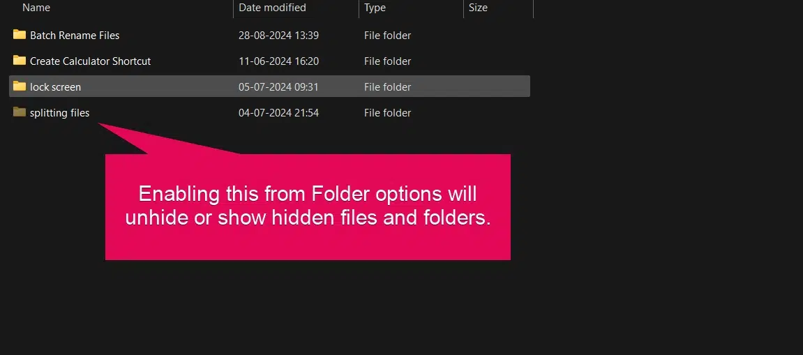 Enabling this will show hidden files, folders & drivers.