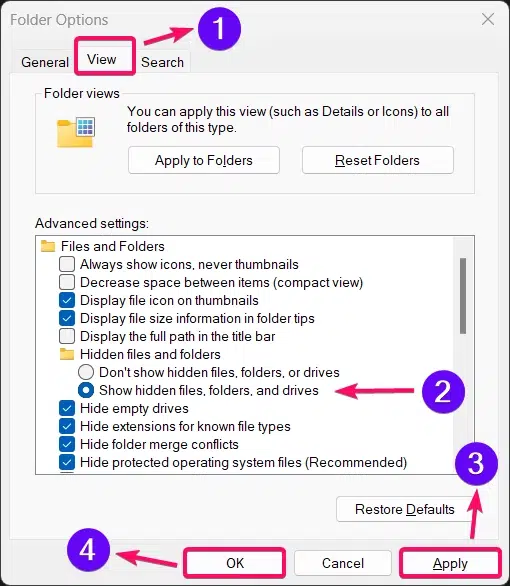 Enable Show Hidden Files Folders & Drives option