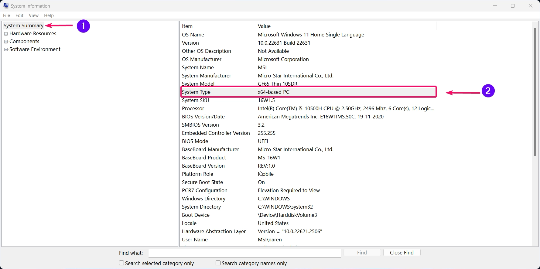 Chip type using system information tool