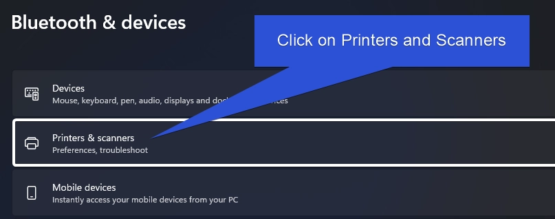 Click on Printers and Scanners