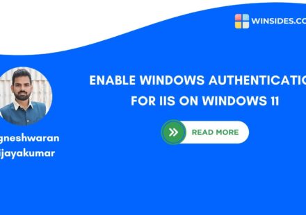 ENABLE WINDOWS AUTHENTICATION FOR IIS ON WINDOWS 11