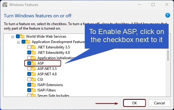 Enable ASP in IIS on Windows 11