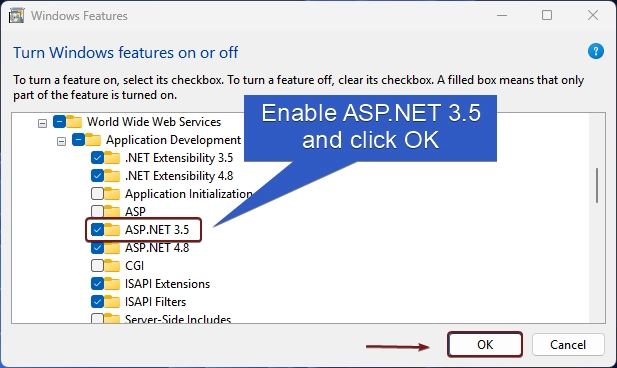 Enable ASP.NET 3.5 in Windows 11