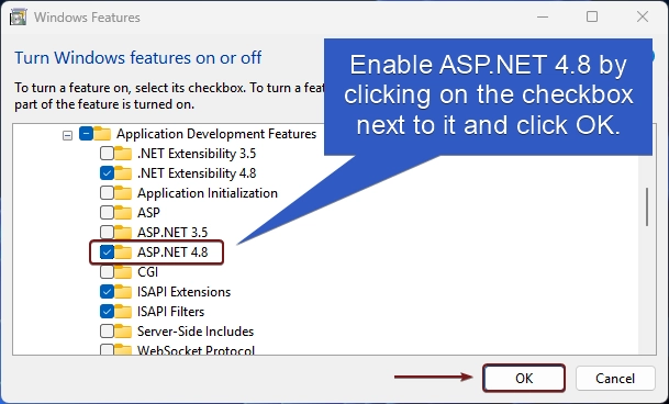 Enable ASP.NET 4.8 for IIS in Windows 11